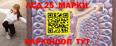 прущие грибы Будённовск