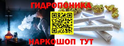 прущие грибы Будённовск