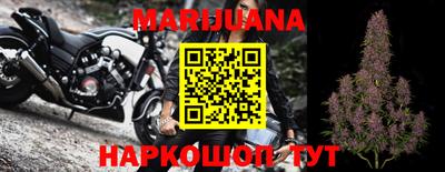 прущие грибы Будённовск