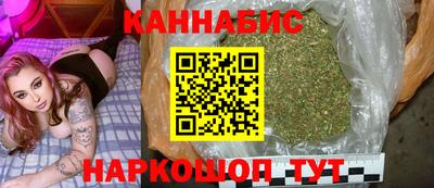 прущие грибы Будённовск