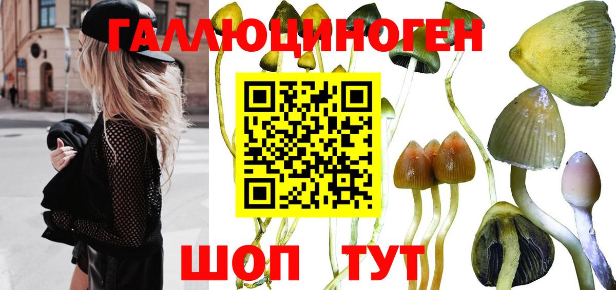 Псилоцибиновые грибы GOLDEN TEACHER  Галлюциногенные грибы мухоморы  Вход с VPN  Саяногорск 